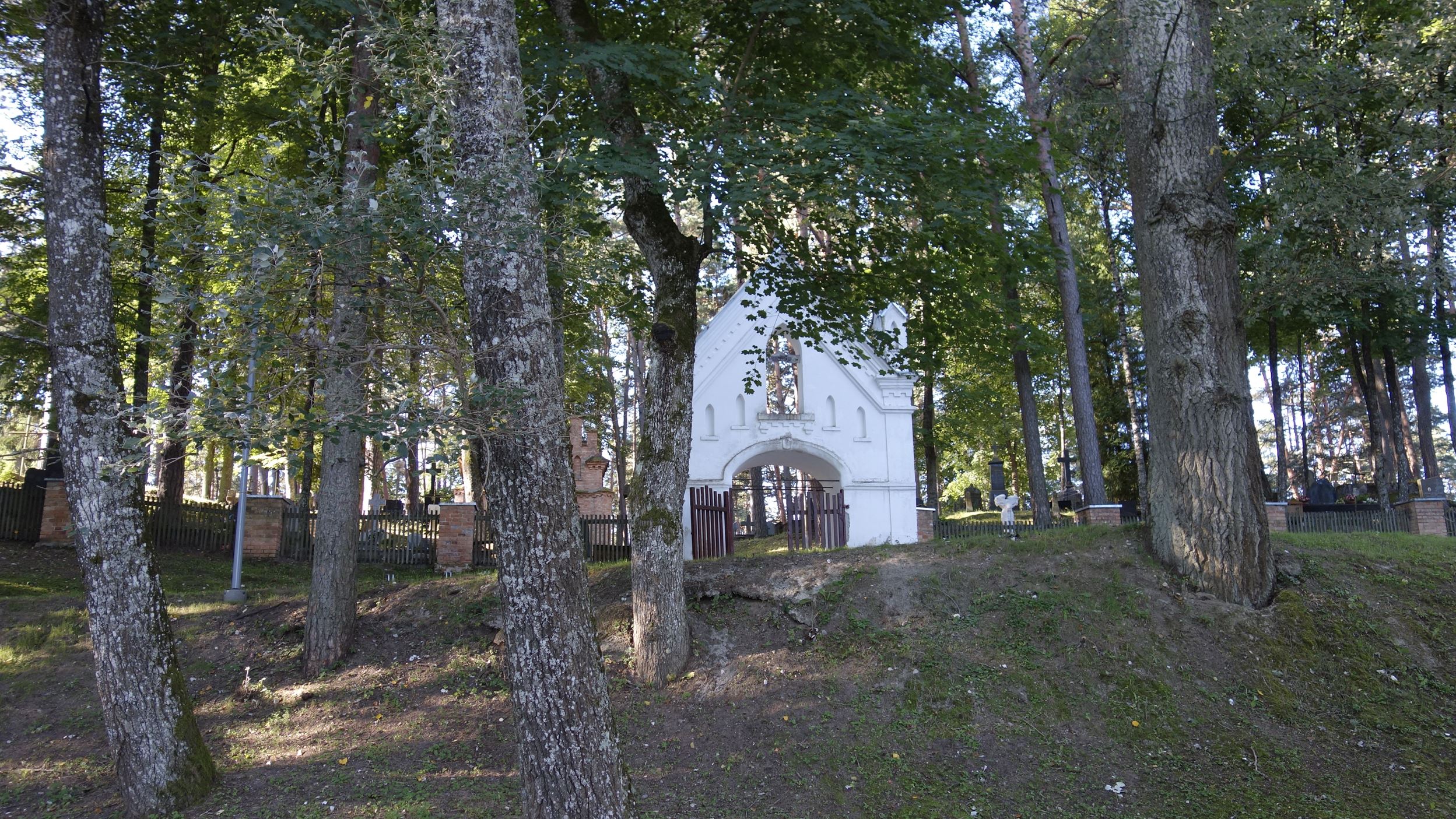 DSC0000.JPG