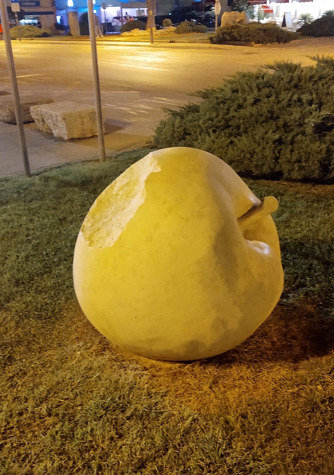 156.jpg