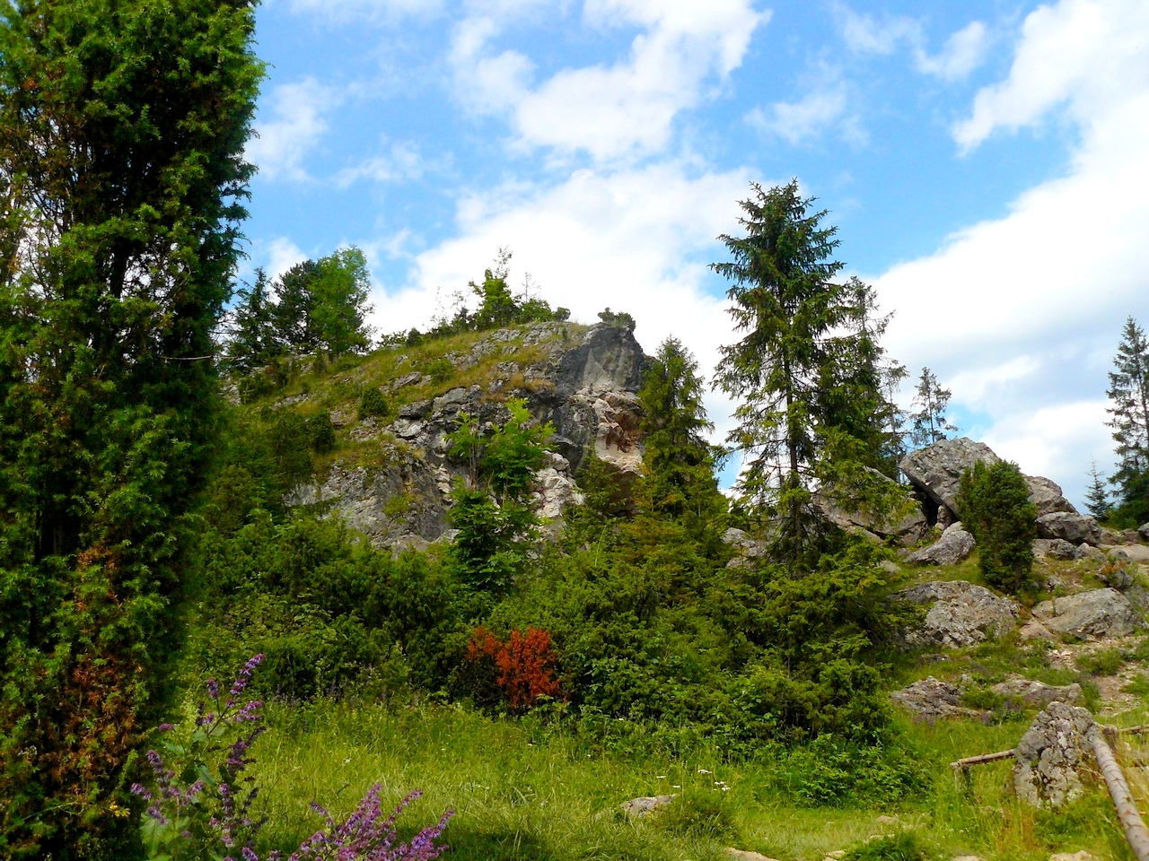P1050014.JPG