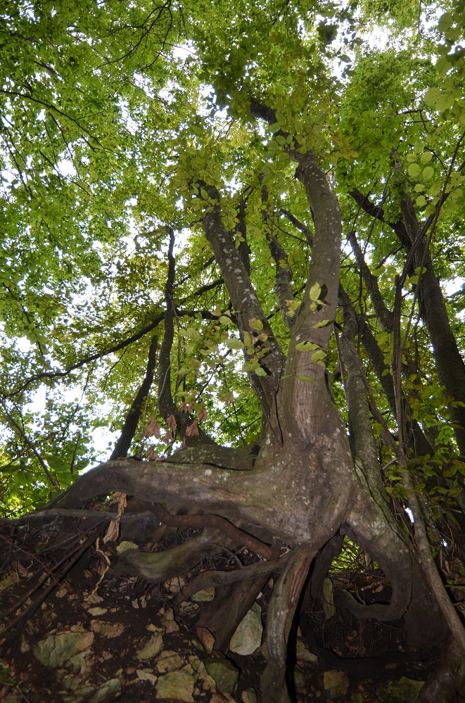 wakacje 2014 007.jpg