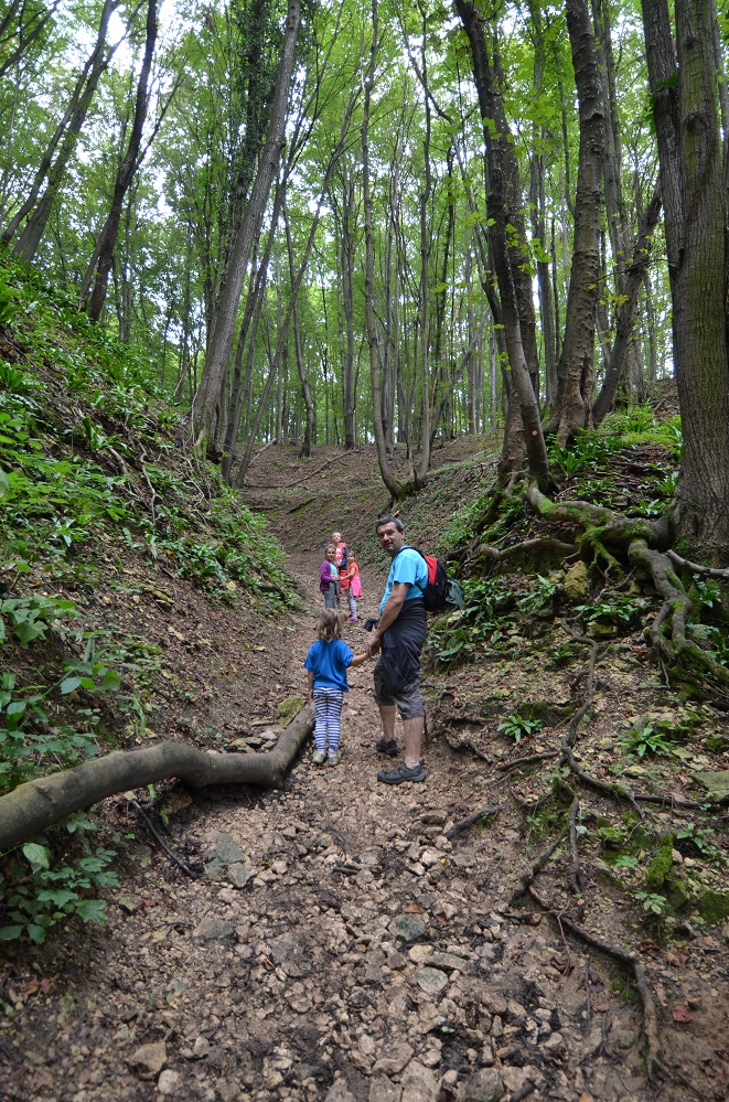 wakacje 2014 014.jpg