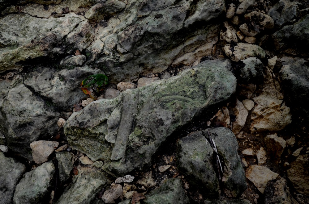 wakacje 2014 031.jpg