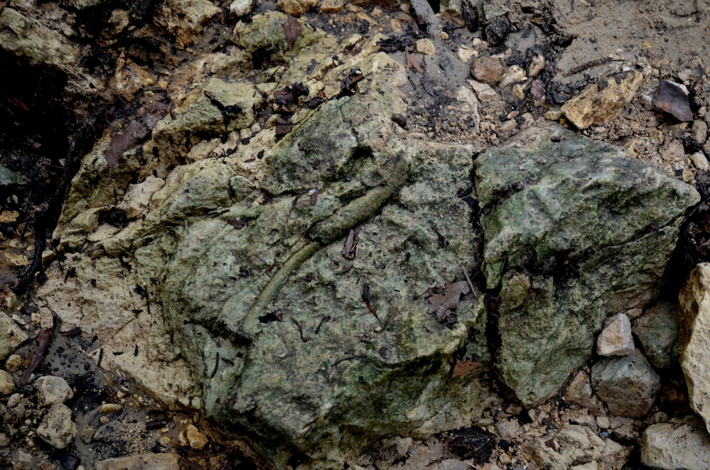 wakacje 2014 032.jpg