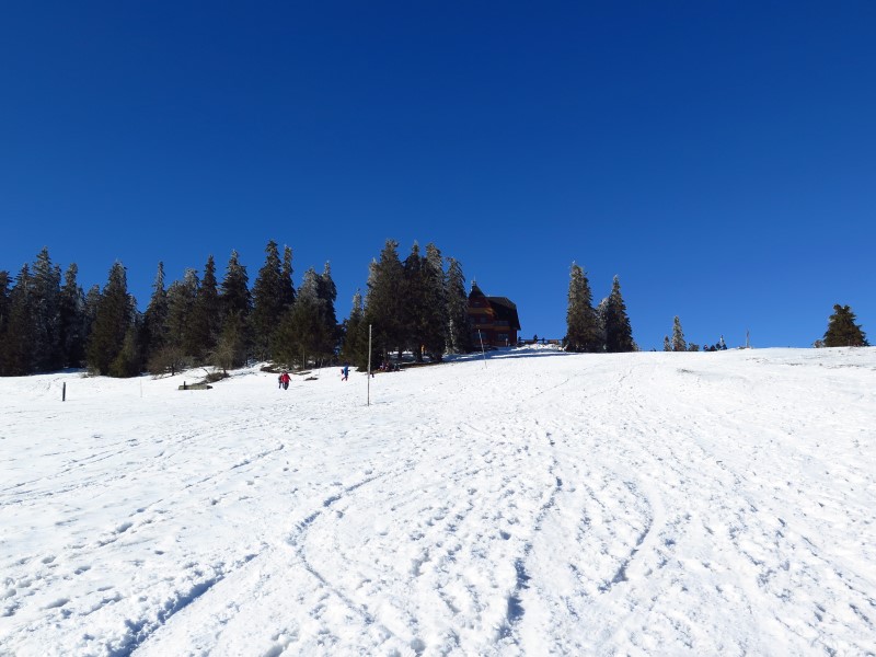 2021-02-28-14h16m42 (Custom).JPG