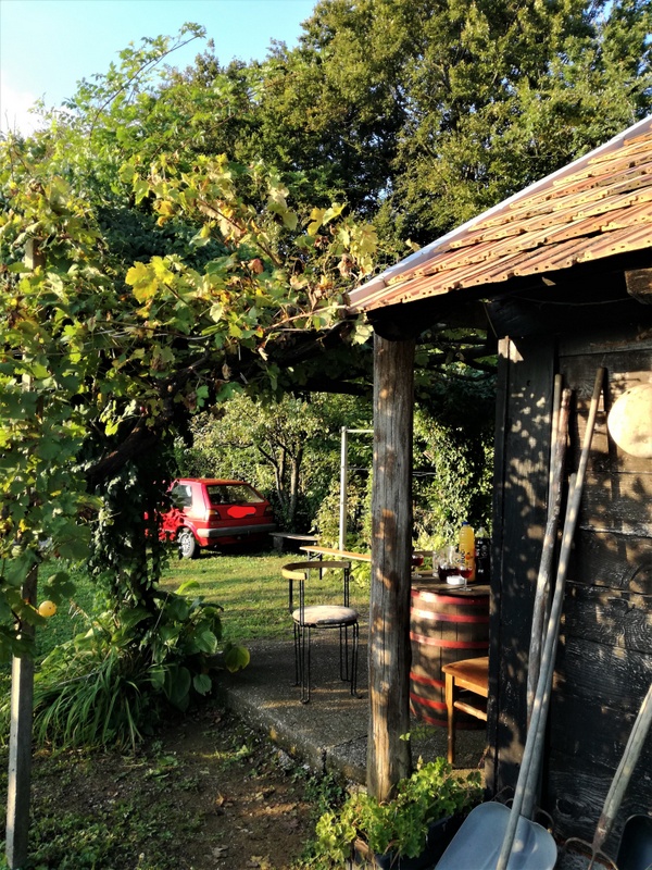 IMG_20190929_173100 (1)_LI.jpg