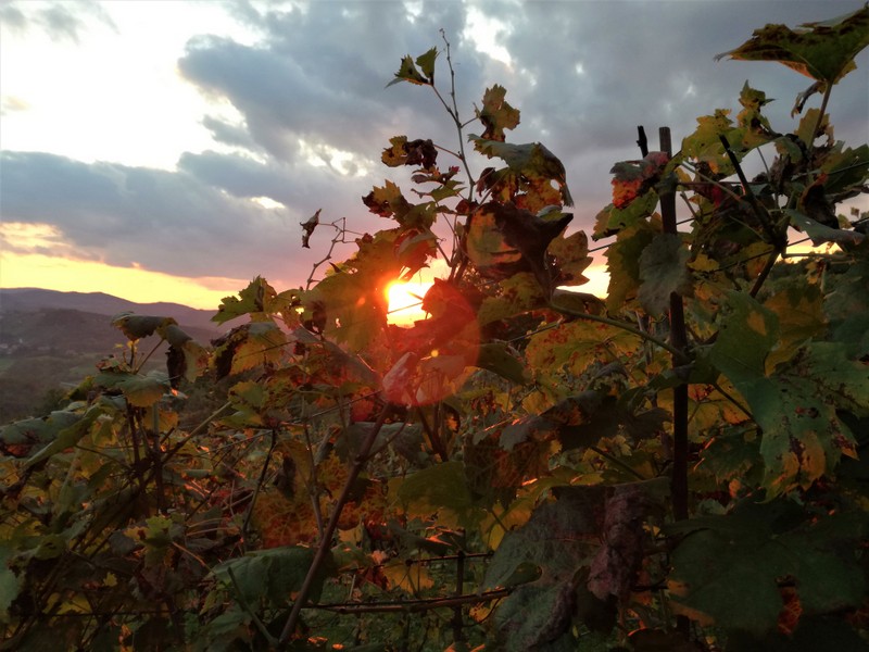 IMG_20190929_182815 (1).jpg