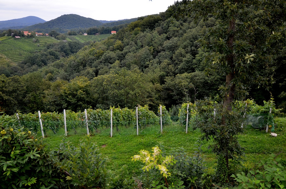 wakacje 2014 034.jpg