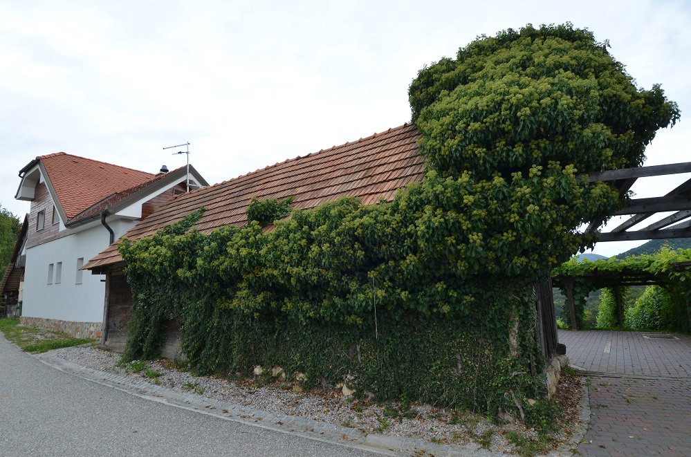 wakacje 2014 064.jpg