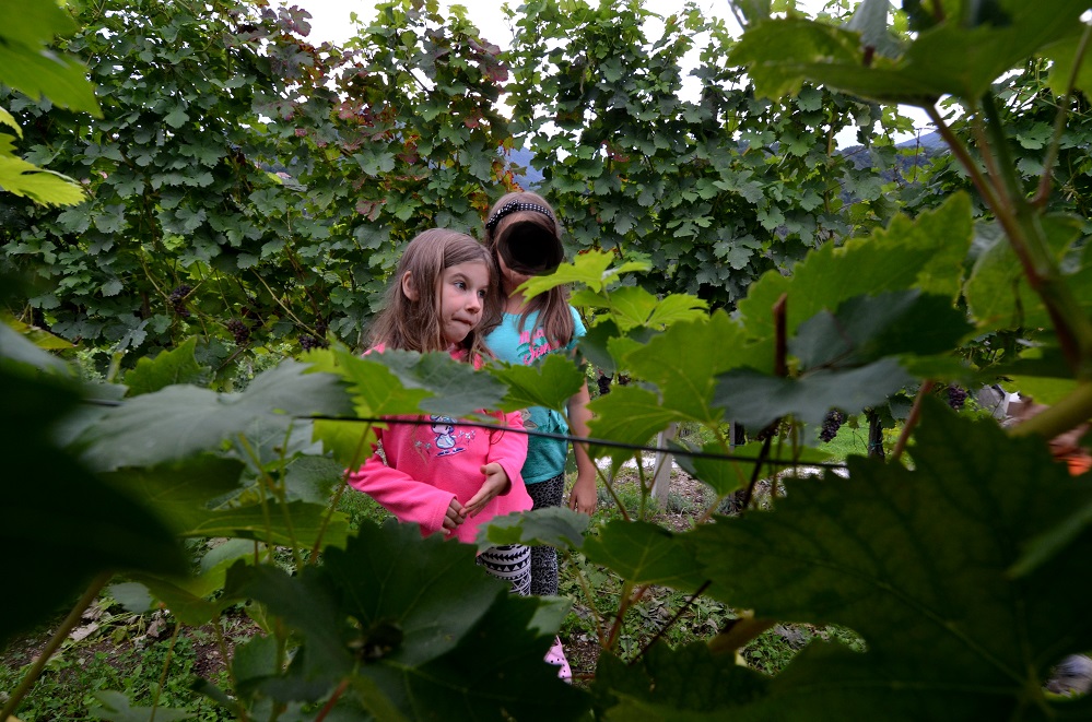 wakacje 2014 065.jpg