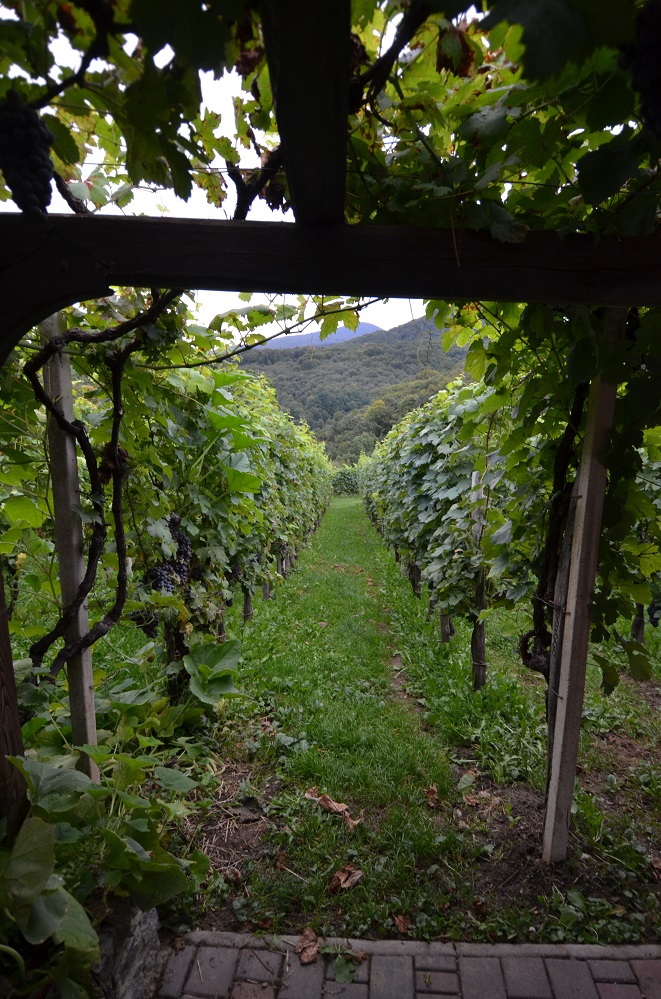 wakacje 2014 090.jpg