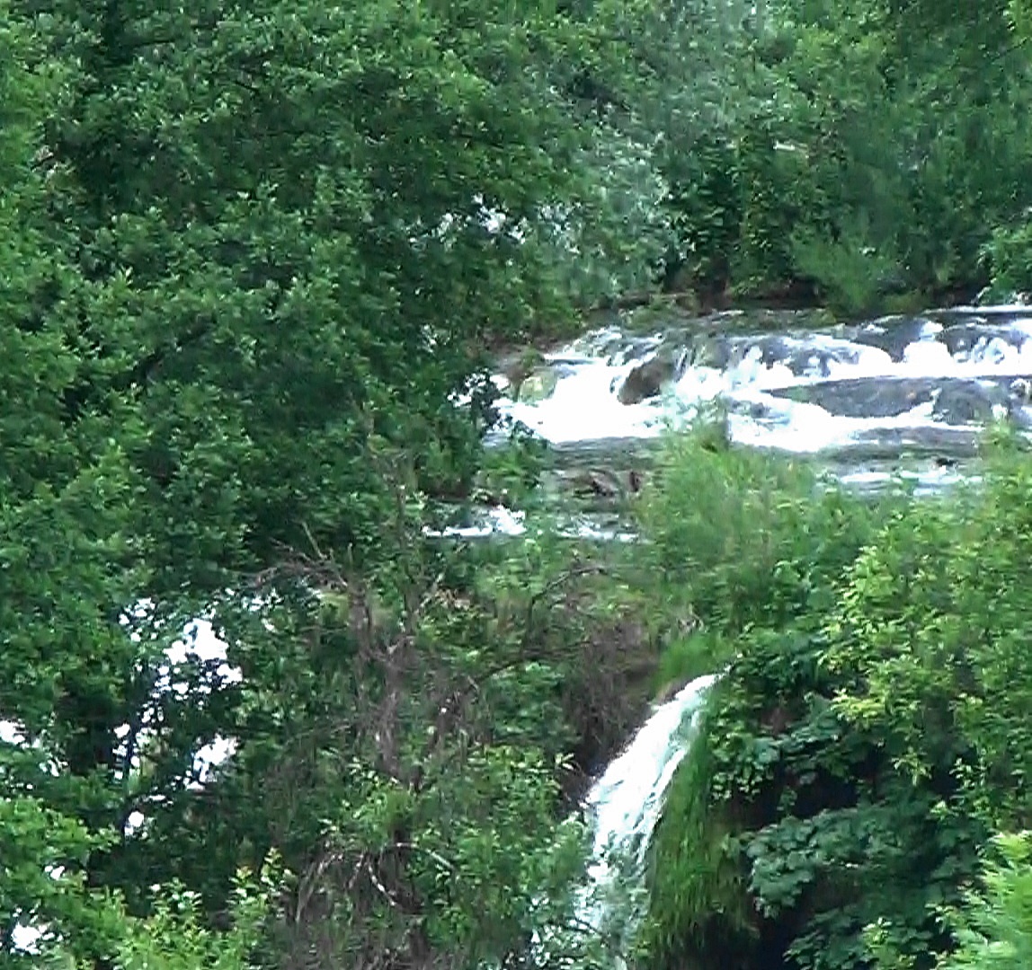 20120604173938 (2).jpg