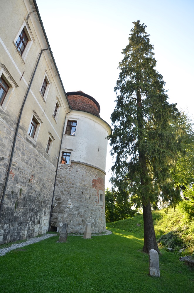 wakacje 2014 159.jpg