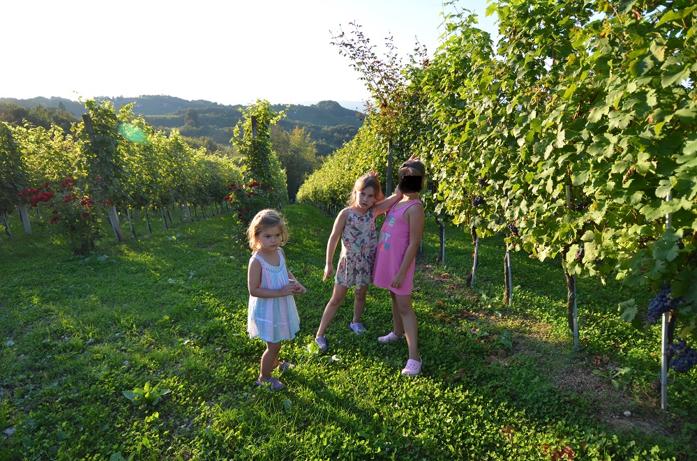 wakacje 2014 172.jpg