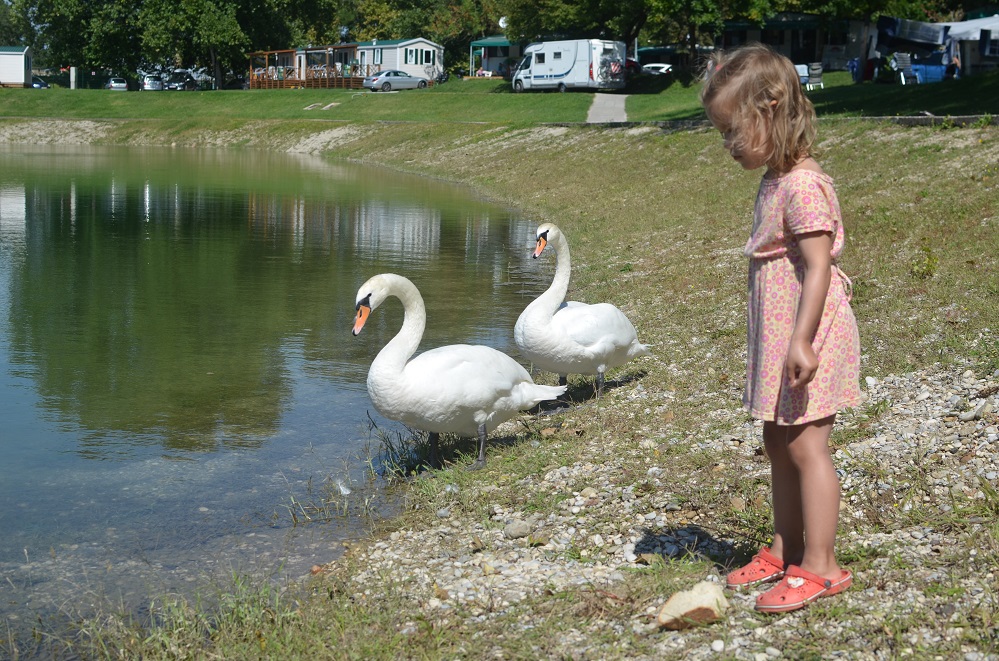 wakacje 2014 209.jpg