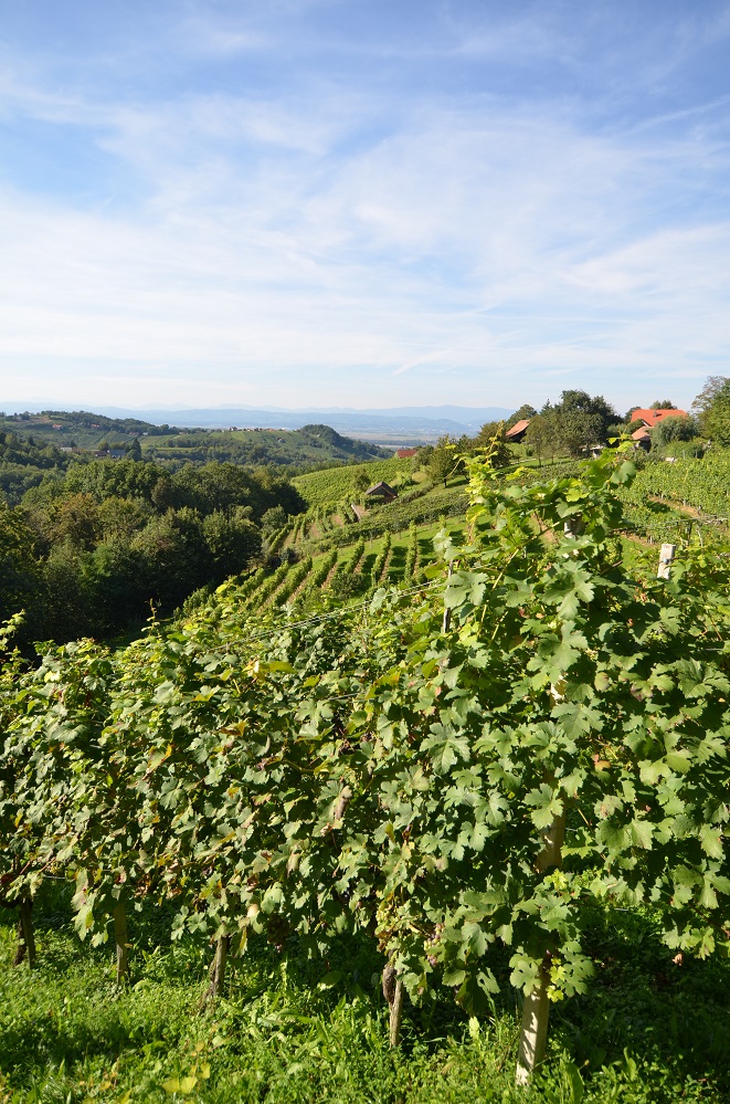 wakacje 2014 261.jpg