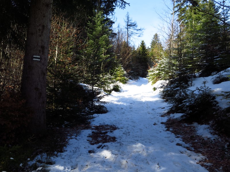 2021-03-07-11h51m30 (Custom).JPG