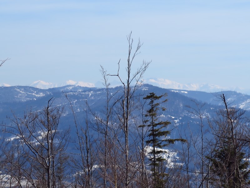 2021-03-07-13h05m59 (Custom).JPG