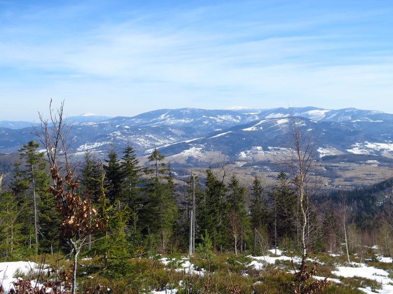 2021-03-07-13h12m10 (Custom).JPG