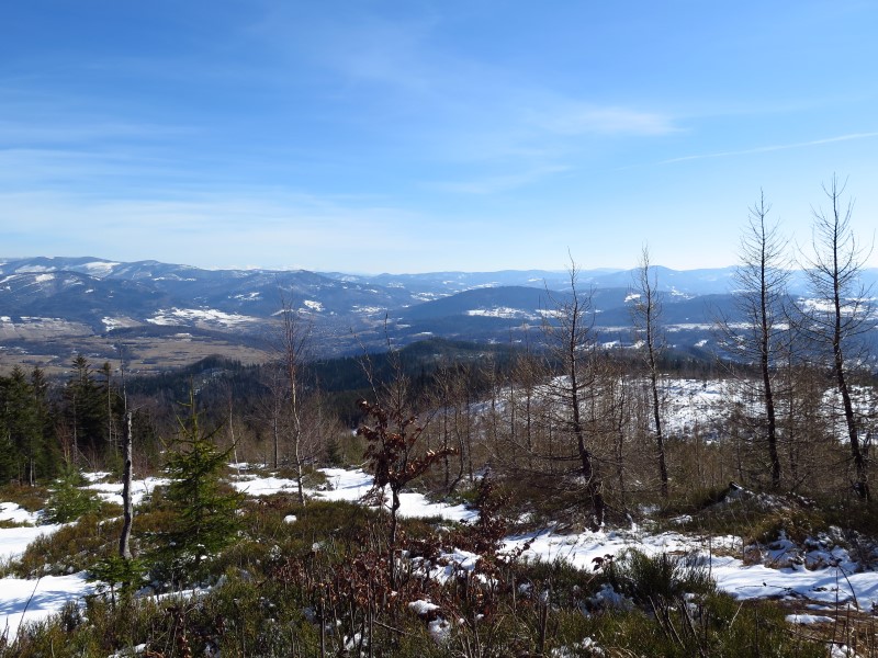 2021-03-07-13h12m27 (Custom).JPG