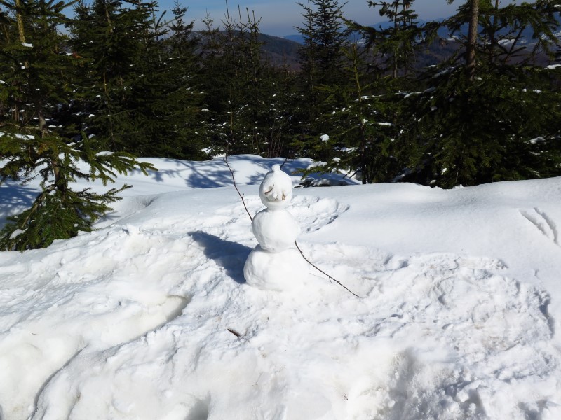 2021-03-07-13h14m09 (Custom).JPG