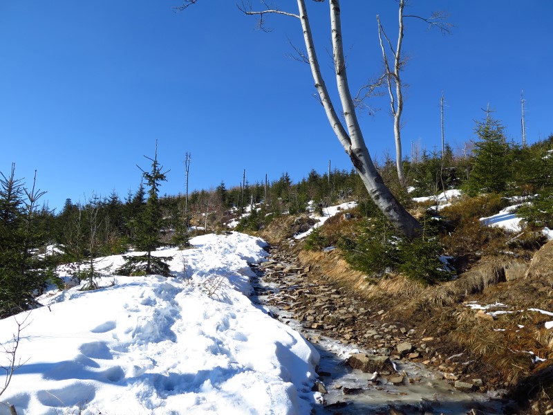 2021-03-07-13h49m05 (Custom).JPG