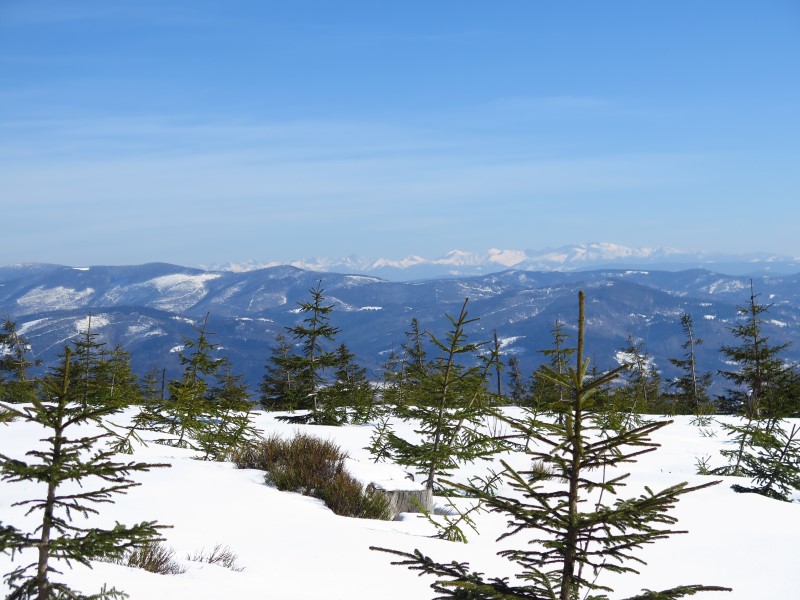 2021-03-07-14h00m42 (Custom).JPG