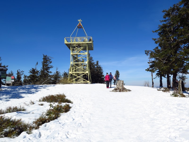 2021-03-07-14h15m55 (Custom).JPG