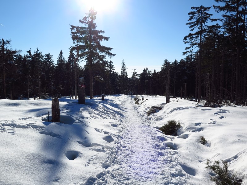 2021-03-07-15h03m12 (Custom).JPG