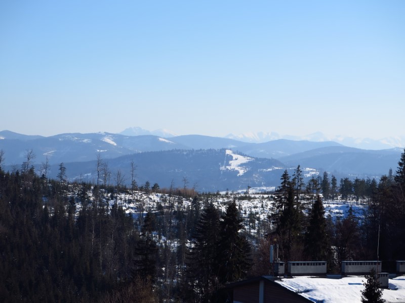 2021-03-07-15h27m54 (Custom).JPG