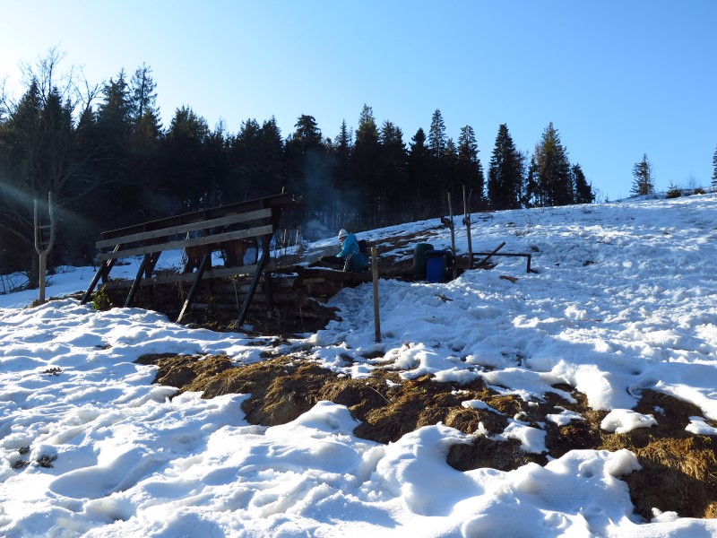 2021-03-07-15h33m30 (Custom).JPG