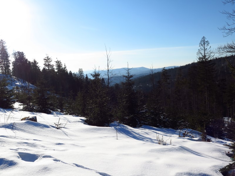 2021-03-07-15h51m52 (Custom).JPG