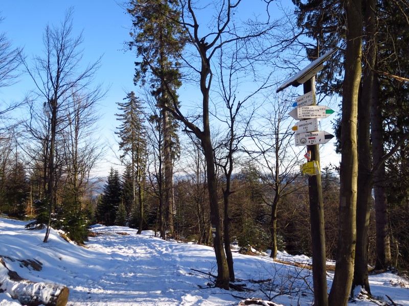 2021-03-07-15h59m05 (Custom).JPG