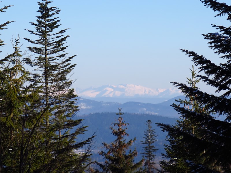 2021-03-07-16h00m04 (Custom).JPG