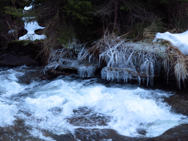 2021-03-07-16h40m38 (Custom).JPG