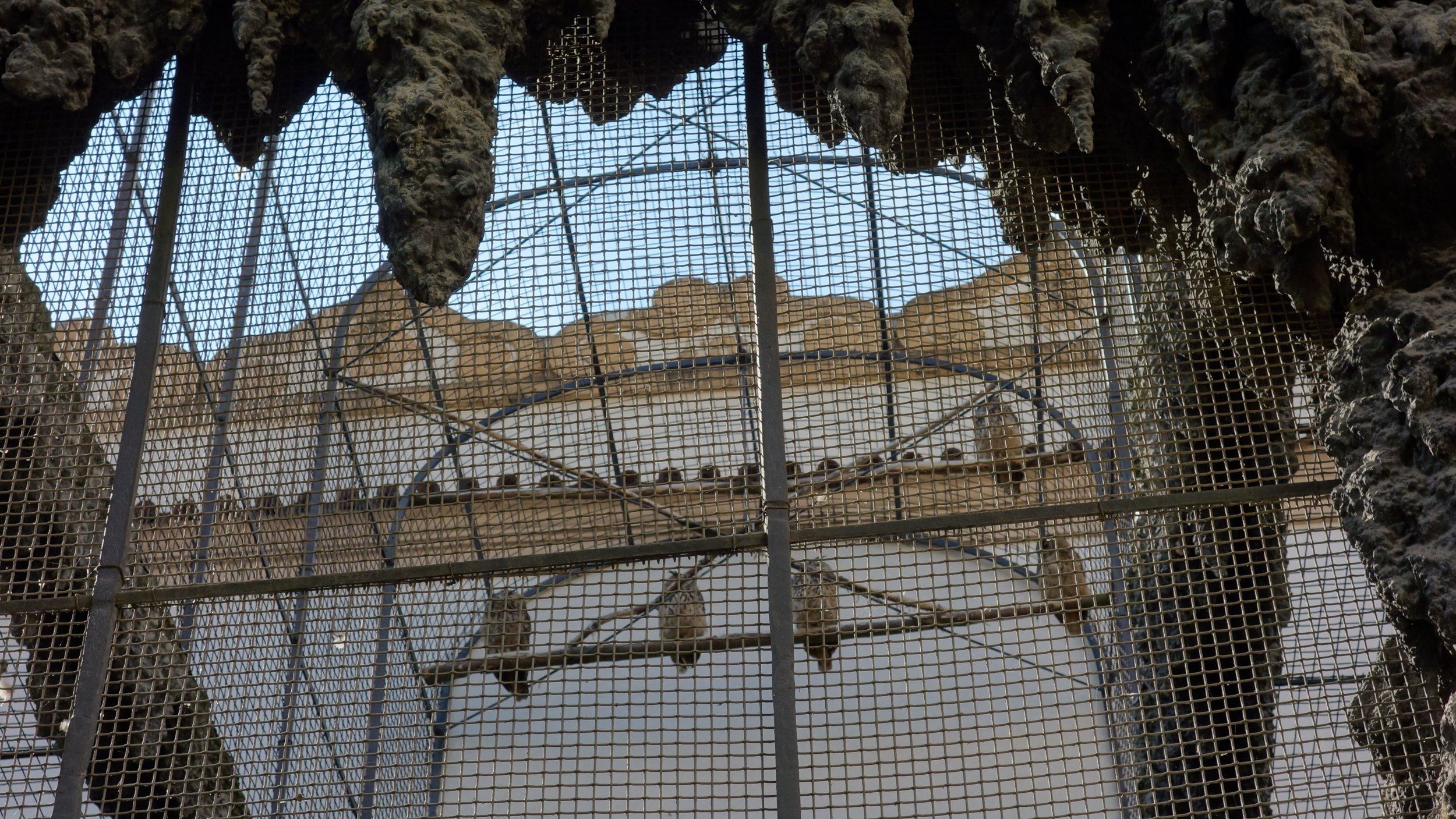 DSC09282 (Copy).JPG