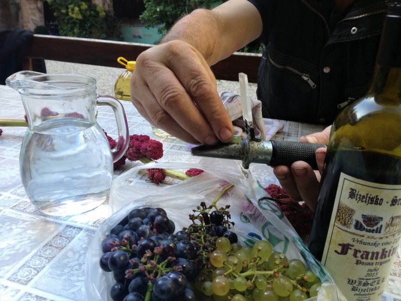 IMG_20190930_145942 (1).jpg