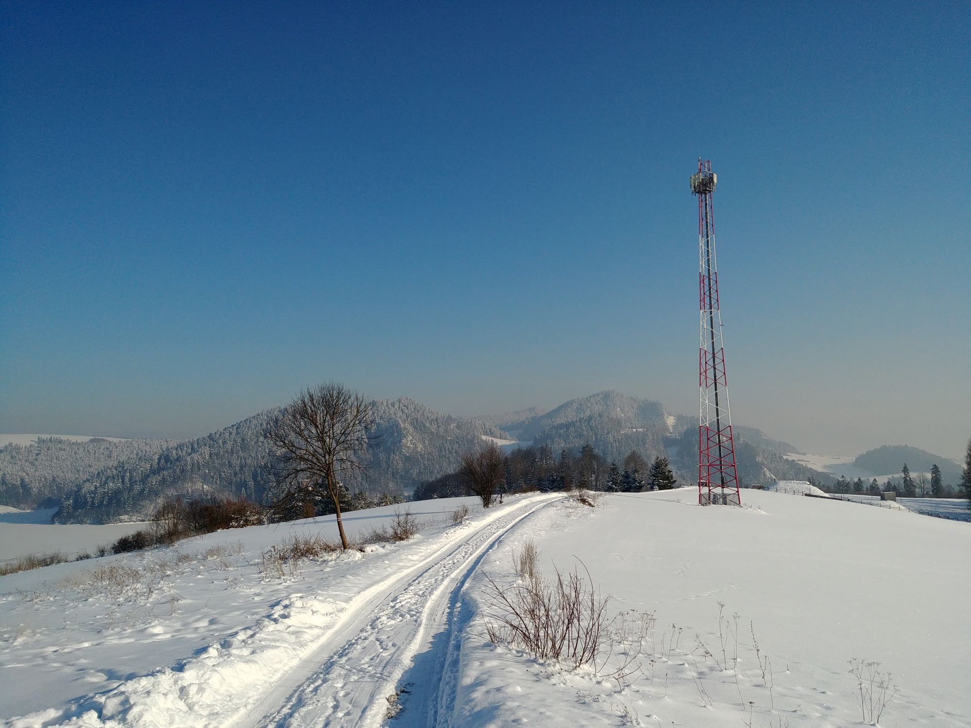 20210118_123140zm.jpg