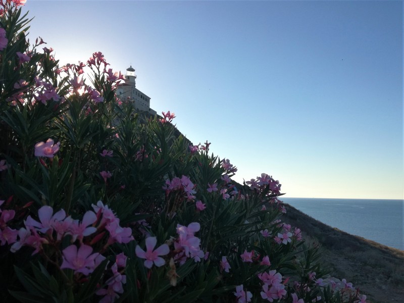 IMG_20200906_175429 (1).jpg