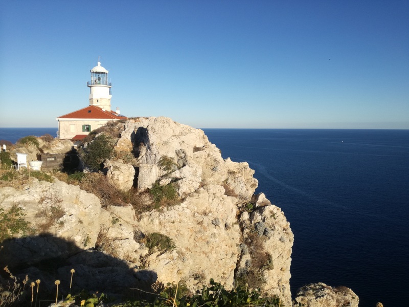 IMG_20200906_180920 (1) — kopia.jpg