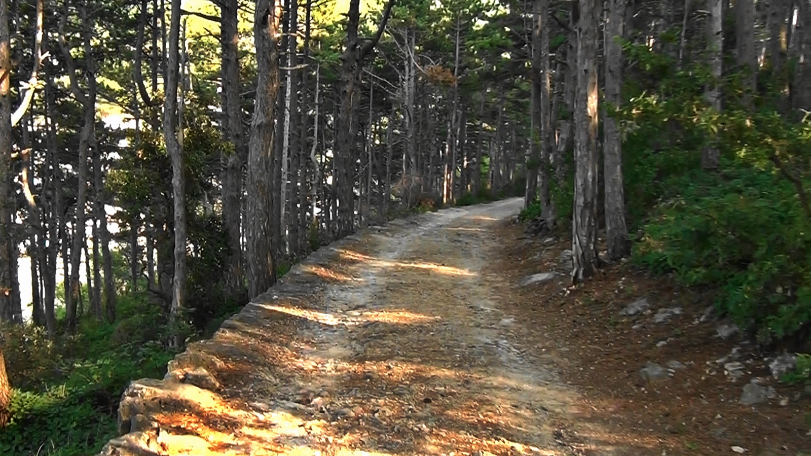 20140810174346 (2).jpg