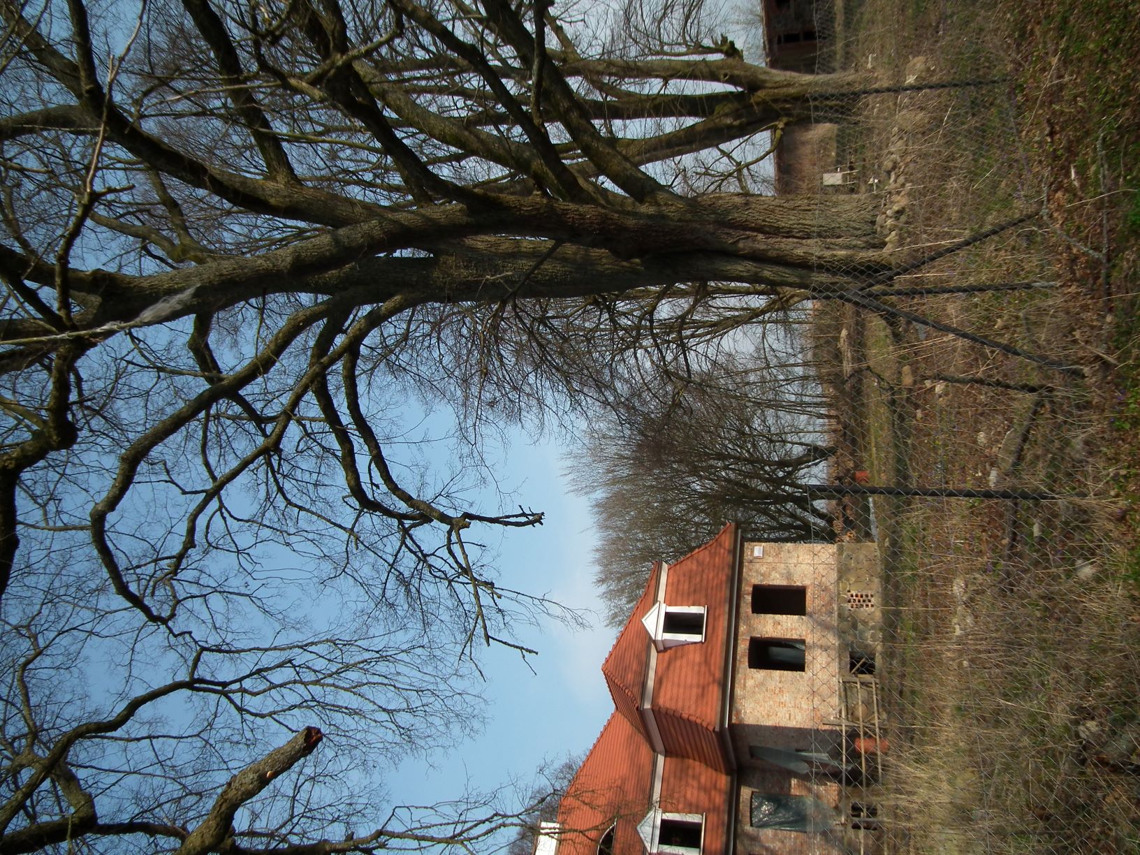 file2.jpg
