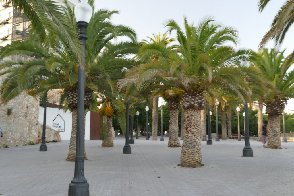Tarragona (16).JPG