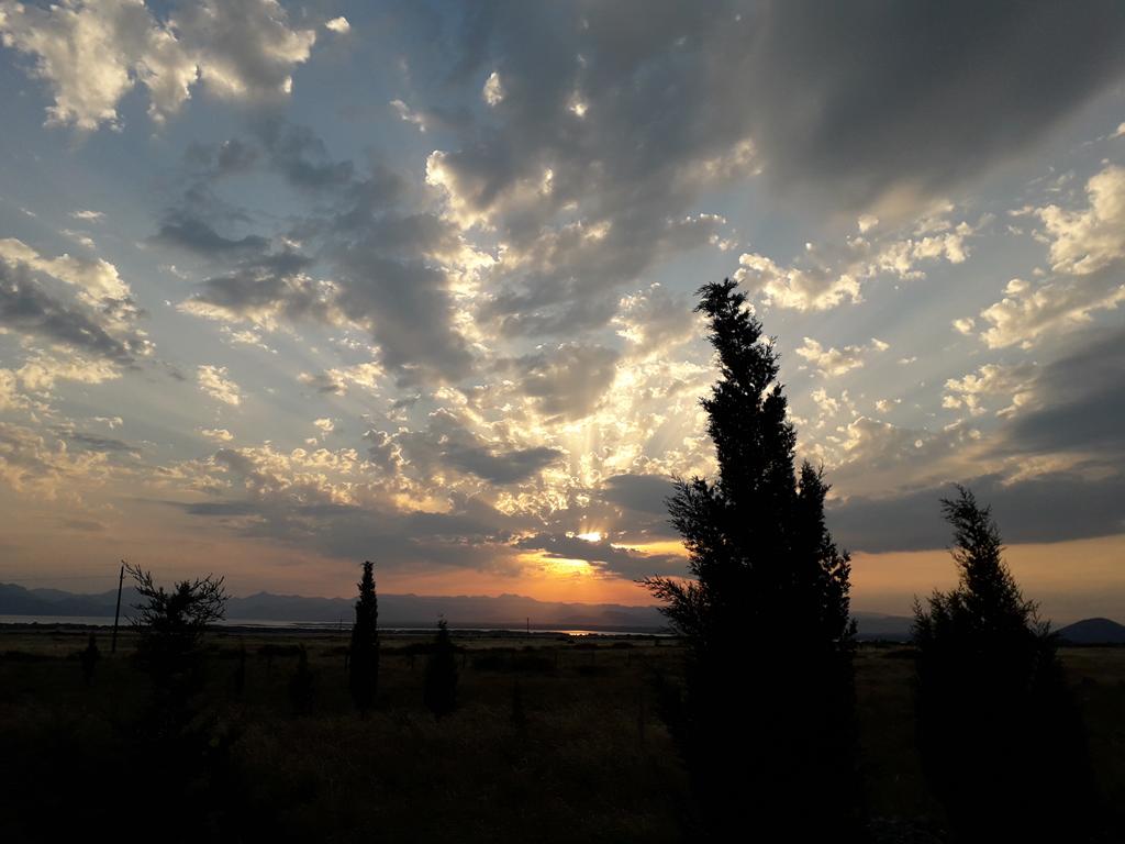 20180715_194711 (Copy) (2).jpg