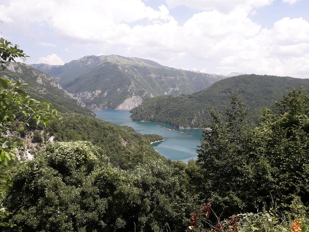 20190707_133818 (Copy).jpg