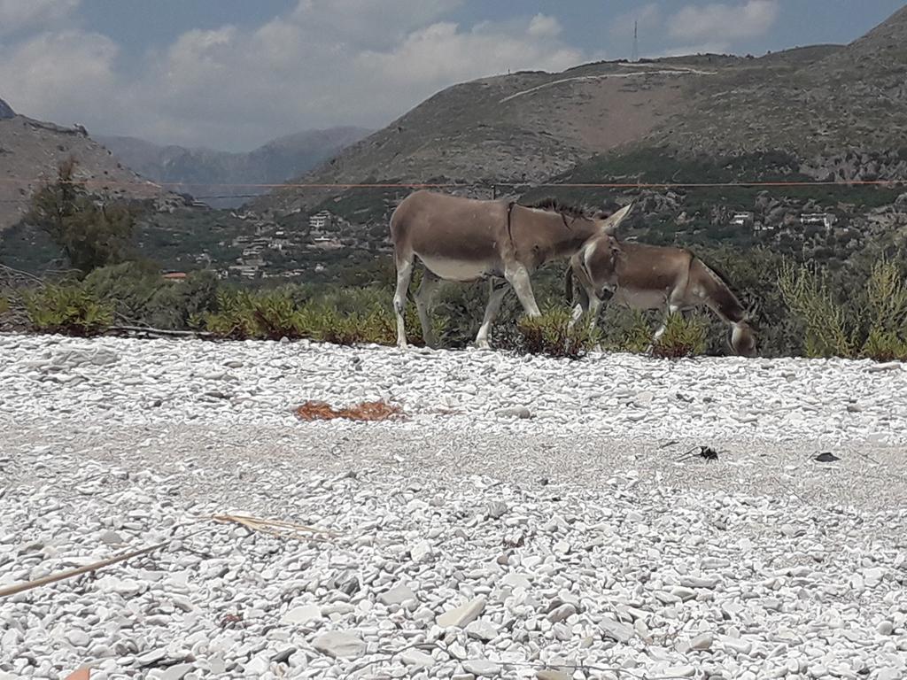 20190709_140301 (Copy).jpg