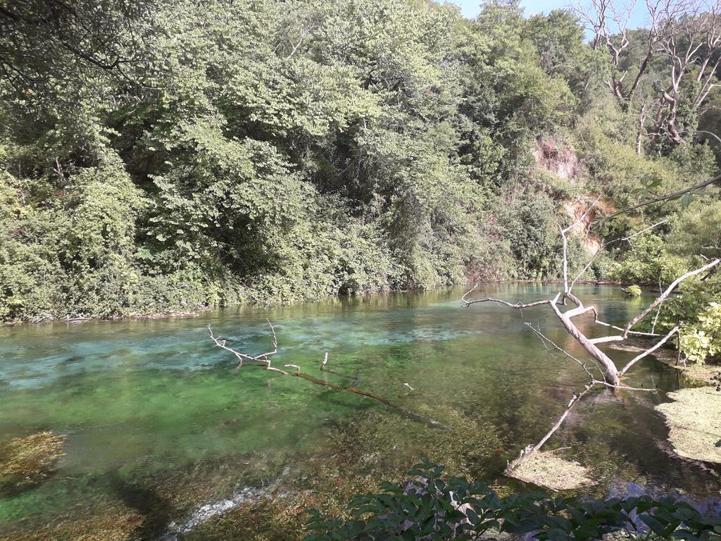 20190713_164818 (Copy).jpg