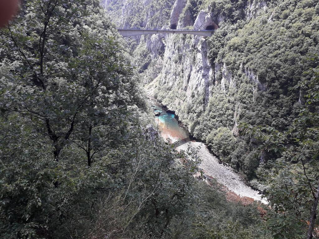 20190707_124433 (Copy) (2).jpg