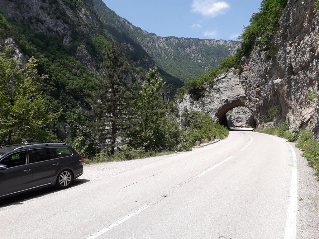 20190707_124632 (Copy) (2).jpg