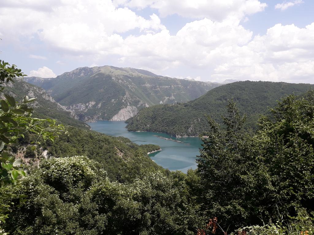 20190707_133810 (Copy).jpg