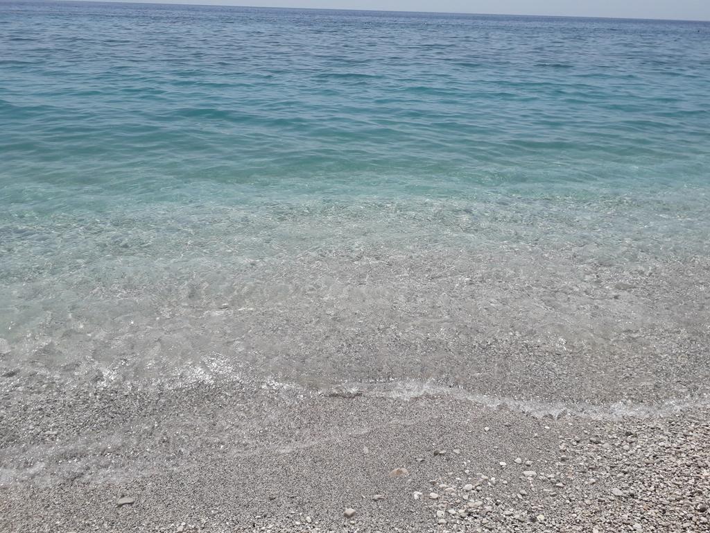 20190709_133932 (Copy).jpg